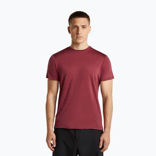 Men's trekking shirt icebreaker Merino 125 Cool-Lite Sphere III port