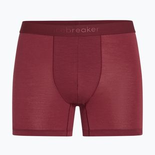 Men's thermal boxers icebreaker Anatomica Boxers port
