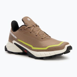 Men's running shoes Salomon Alphacross 5 caribou/canteen/ sulphr