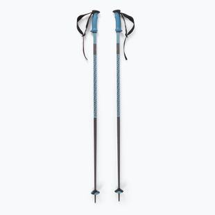 Salomon Polar Pro ski poles copen blue