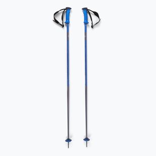Salomon Polar Pro race ski poles blue