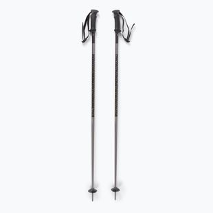 Salomon Polar ski poles black