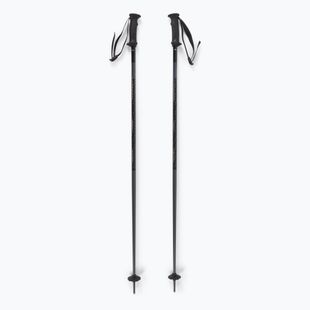 Salomon Polar Access ski poles black