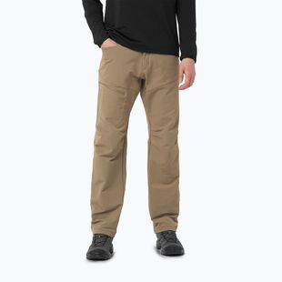 Salomon Wayfarer Warm shitake men's trekking trousers