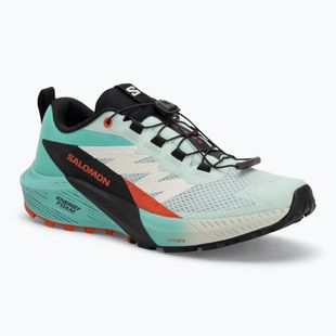 Women's running shoes Salomon Sense Ride 5 bay/black/cherry tomato