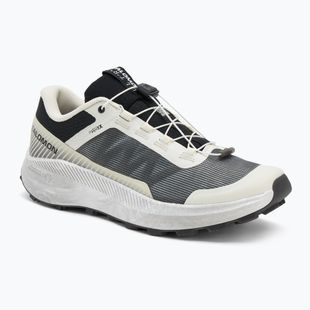 Men's running shoes Salomon Vision vanilla ice/lunar/rock/black