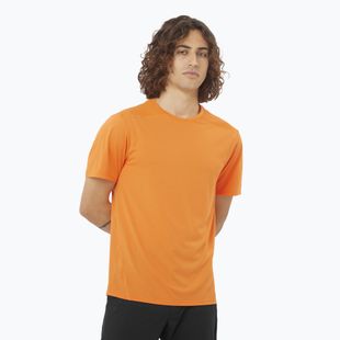 Men's T-shirt Salomon Outline Tee turmeric