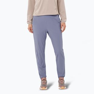 Women's trekking trousers Salomon Wayfarer Ease blue granite