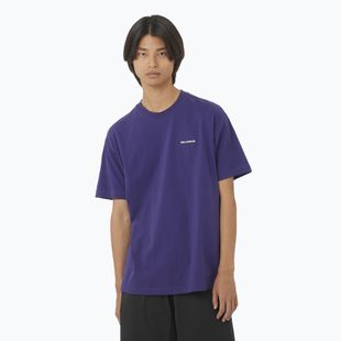 Men's T-shirt Salomon Logo RX Tee astral
