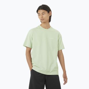 Men's T-shirt Salomon Logo RX Tee sea foam