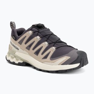 Women's running shoes Salomon XA Pro 3D V9 GTX nine iron/oxford tan