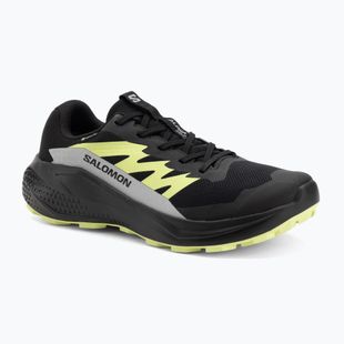 Men's running shoes Salomon Alphaglide GTX black/alloy/sharp green