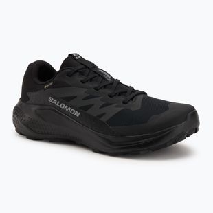 Men's running shoes Salomon Alphaglide GTX black/asphalt/black