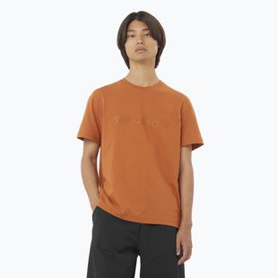Men's T-shirt Salomon Big Logo Tee sierra