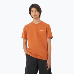 Men's T-shirt Salomon Logo Tee sierra