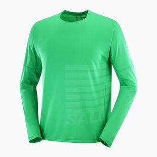 Men's running longsleeve Salomon Sense Aero Tee GFX parakeet/spearmint