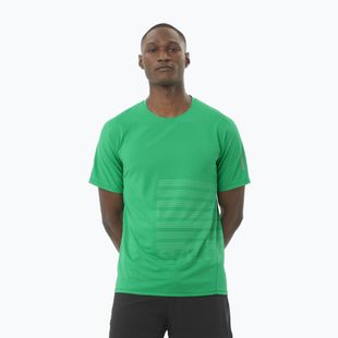 Men's running T-shirt Salomon Sense Aero Tee GFX parakeet / spearmintme