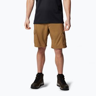 Men's trekking shorts Columbia Silver Ridge Utility Cargo delta