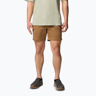 Men's trekking shorts Columbia Landroamer Twill delt