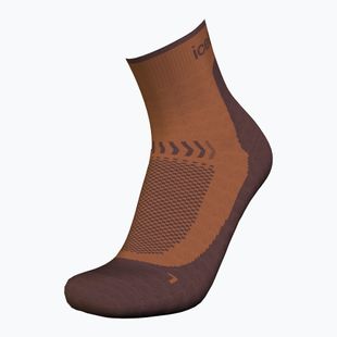 Icebreaker Merino Hike+ Light Mini dusty clay/carob men's trekking socks