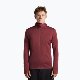 Men's sweatshirt Icebreaker Merino 260 Quantum IV LS Zip Hoodie port/agate