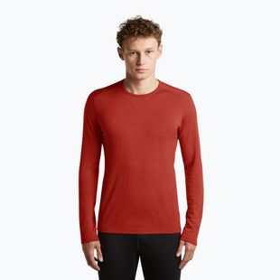 Men's thermal sweatshirt Icebreaker 260 Tech Crewe Agate