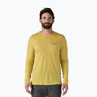 Men's Patagonia Cap Cool Merino Blend Longsleeve Graphic fitz roy strata/bundle green