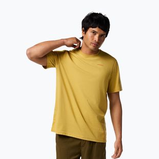 Men's T-shirt Cotopaxi Mountain Magic husk