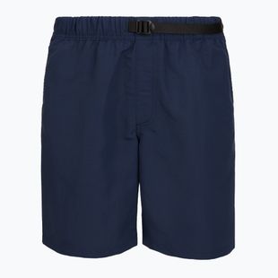 Men's Vans Range Nylon Loose Shorts