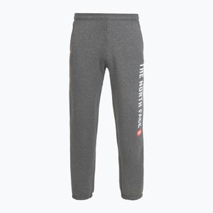 Men's trousers The North Face Varsity Graphic medium grey heather