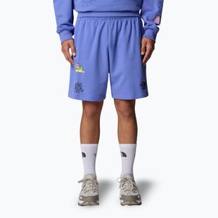 The North Face Mountain Cleanup Relaxed virtual blue shorts