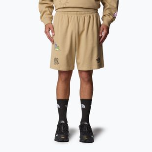 The North Face Mountain Cleanup Relaxed khaki stone shorts