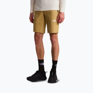 Men's trekking shorts The North Face Lightning SHT khaki stone/npf