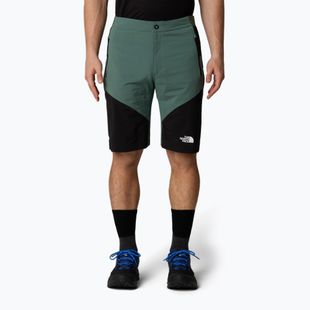 Men's trekking shorts The North Face Felik Slim Tapered Short duck green/tnf black