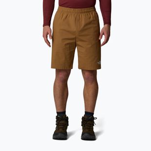 Men's shorts The North Face Limestone utility brown