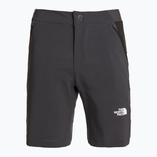 Women's trekking shorts The North Face Felik Slim Tapered asphalt grey/tnf black