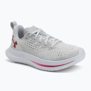 Women's running shoes Under Armour Velociti 4 SE halo gray/mod gray/shaded fuchsia