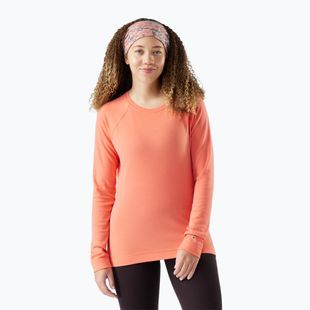 Women's thermal base layer sweatshirt Smartwool Merino 250 Baselayer Crew Boxed coral reef