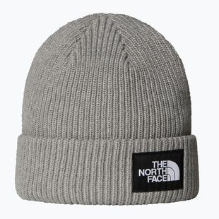 Winter hat The North Face Salty Lined