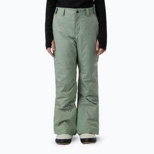 Children's ski trousers The North Face Freedom Insulated slate moss