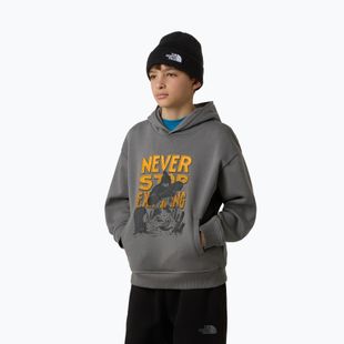 Children's sweatshirt The North Face Sports Oversized Hoodie Graphic smoked pearl