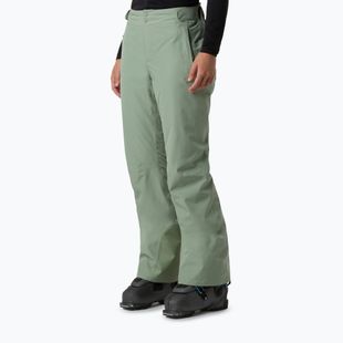 Women's ski trousers The North Face Descendit Regular slate moss