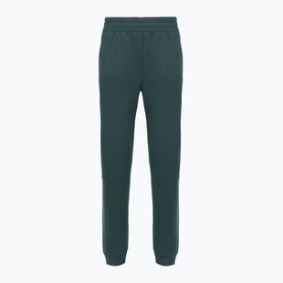 Women's trousers The North Face Mountain Athletics Fleece deep cypress/space
