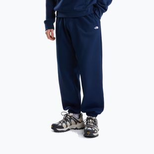 Men's sweatshirt The North Face Evolution Simple Dome Regular Hoodie summit navy