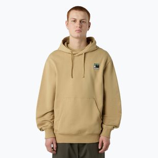 Men's sweatshirt The North Face Mountain Logo Relaxed Hooded khaki stone