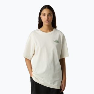 Men's T-shirt The North Face NSE Slopes Relaxed Tee Graphic white dune