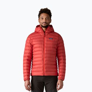 Men's down jacket Patagonia Down Sweater Hoody amanita red
