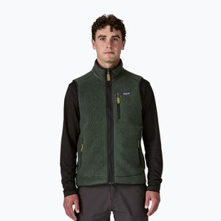 Men's gilet Patagonia Retro Pile Fleece old growth green
