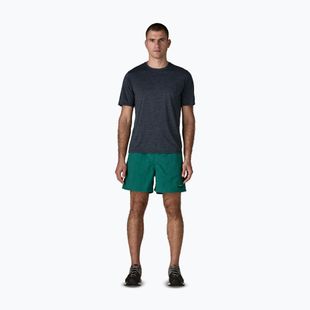 Men's shorts Patagonia Baggies 5" 95 oval logo/gem green