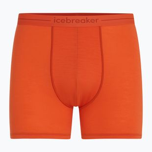 Men's thermal boxer briefs icebreaker Anatomica fervid
